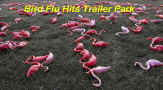 Bird_Flue_Hits_Trailer_Park.jpg (330597 bytes)